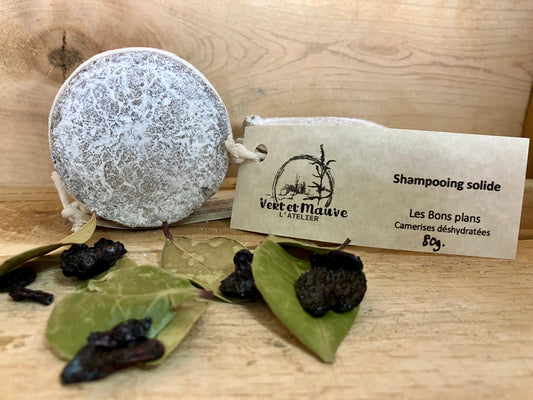 Shampooing solide- Les Bons Plans - Camerises déshydratées & thé des bois