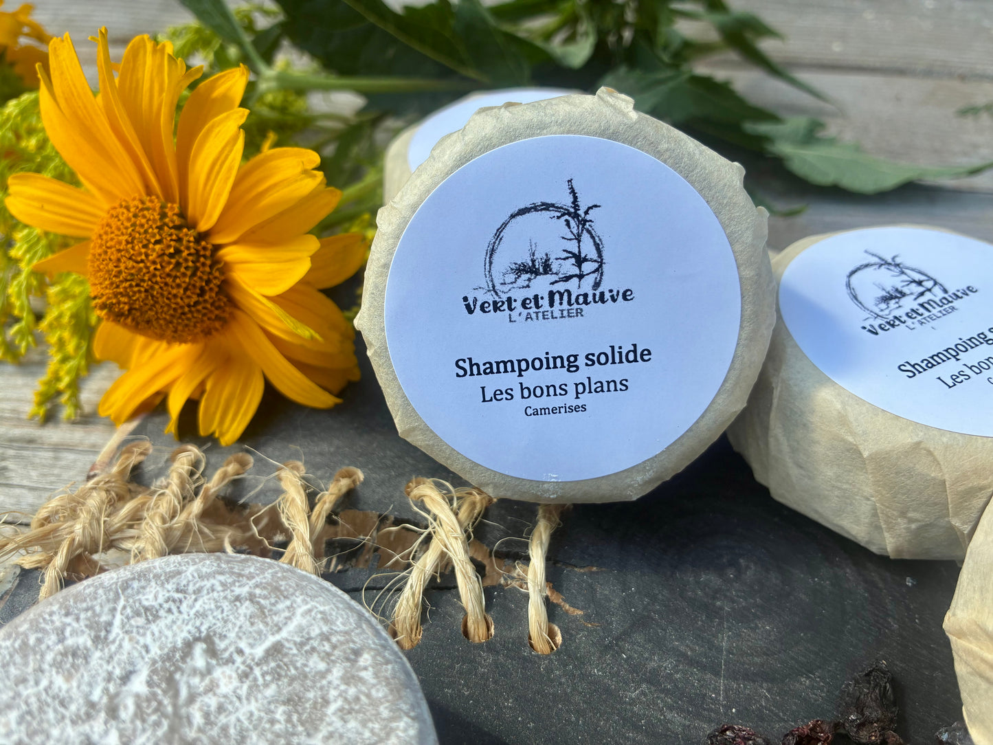 Shampooing solide- Les Bons Plans - Camerises déshydratées & thé des bois